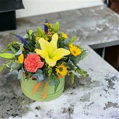 Florist Choice Bright Hatbox Arrangement