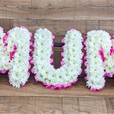 MUM Frame