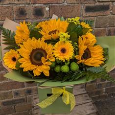 Summer Sunflower Sunrise