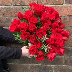 Stunning 50 Red Rose 